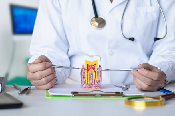 Best Emergency Tooth Extraction in Pineville, KY